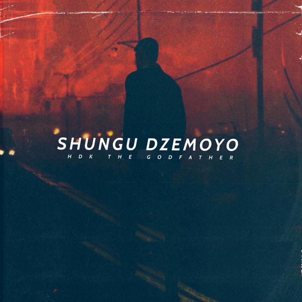 Shungu dzemoyo (Radio Edit)