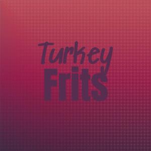 Album Turkey Frits from Various