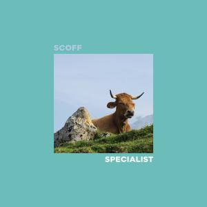 ดาวน์โหลดและฟังเพลง Thunder Rooms พร้อมเนื้อเพลงจาก Scoff