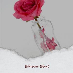 Listen to Scarcely Inclined song with lyrics from Thah Desy