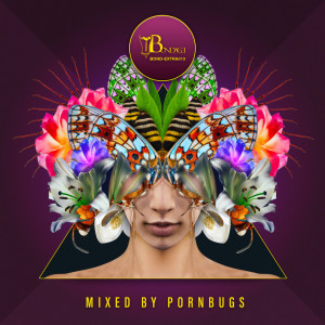 Pornbugs的專輯Deep Value, Vol. 5 (incl. DJ Mixes)