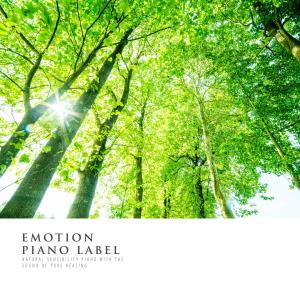 Listen to I'm Going To You Nature Version (Nature Ver.) song with lyrics from Seon Seungyeon