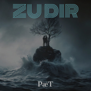Album Zu Dir from PæT