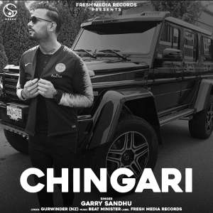 Listen to Chingari song with lyrics from Garry Sandhu