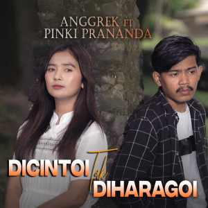 Listen to Dicintoi Tak Diharagoi song with lyrics from Anggrek