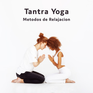Album Tantra Yoga (Metodos de Relajacion, Metamorfose Tantra, Musica para Yoga) from Mundo de La Música de Yoga