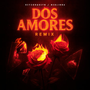 Reyzor & Reyn的專輯Dos Amores (Remix)