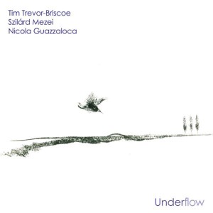 ดาวน์โหลดและฟังเพลง Perpangelus พร้อมเนื้อเพลงจาก Tim Trevor-Briscoe