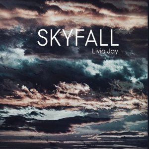Listen to Skyfall song with lyrics from Livio Jay