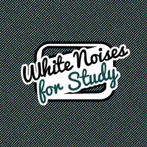 收聽Sounds for Study的White Noise: Zen歌詞歌曲