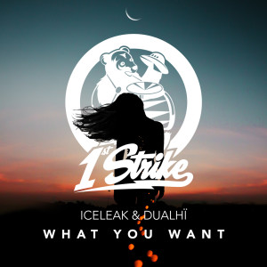 Listen to What You Want song with lyrics from Iceleak