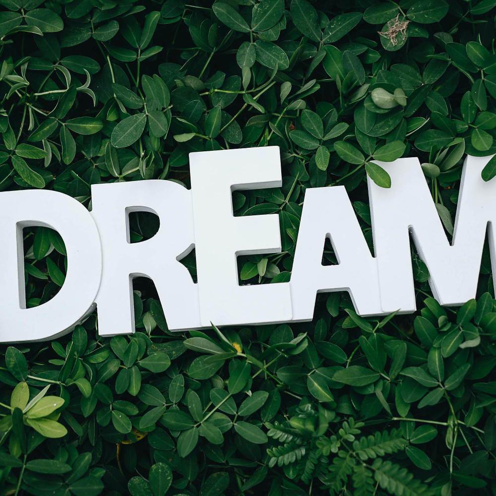 Dream 2.0 (Explicit)