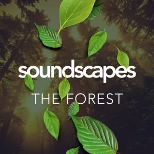 ดาวน์โหลดและฟังเพลง Trickle Through the Forest พร้อมเนื้อเพลงจาก Outside Broadcast Recordings