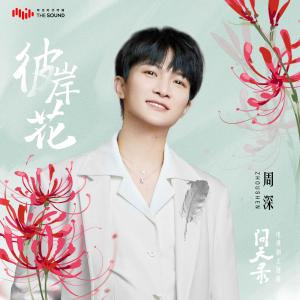 อัลบัม 彼岸花 (电视剧《问天录》主题曲) ศิลปิน 茅小勇