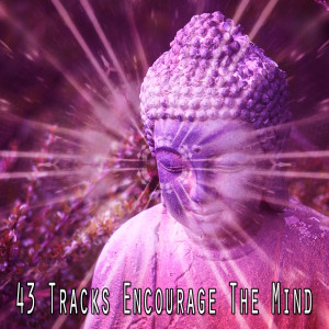 收聽Yoga的Open Minds.歌詞歌曲