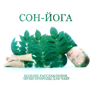 Album Сон-йога (Больше расслабления, Звуки природы для чакр, Мягкая техника расслабления, Фокус восприятие, Почувствуйте себя лучше) from Академия Глубокой Релаксации