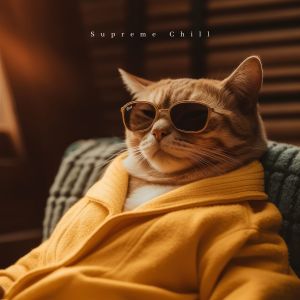 Music For Cats的专辑Supreme Chill