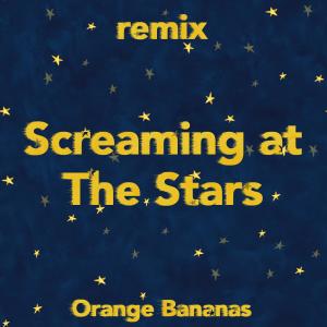 ดาวน์โหลดและฟังเพลง Screaming at The Stars (VIP Remix) (Extended) พร้อมเนื้อเพลงจาก Orange Bananas