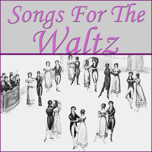 收听The Ray Hamilton Ballroom Orchestra的Baroque Waltz歌词歌曲