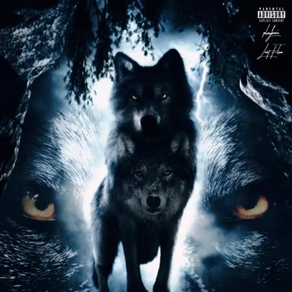 Last Flow (Explicit)