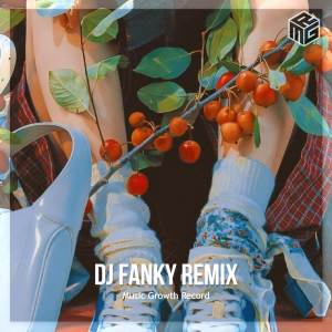 收聽Dj Fanky Remix的DJ ALREADY GONE X GAMAYA X KABINA (Explicit)歌詞歌曲