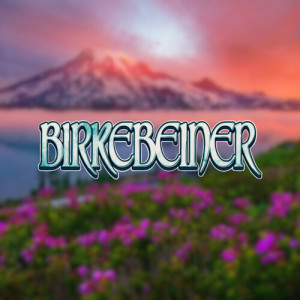 Listen to Birkens Symfoni (Birkebeiner) (Explicit) song with lyrics from Bikken