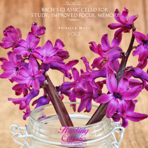 ดาวน์โหลดและฟังเพลง Bach: Suite For Solo Cello No.2 In D Minor BWV 1008 - V. Menuet I, II พร้อมเนื้อเพลงจาก Healing Classic