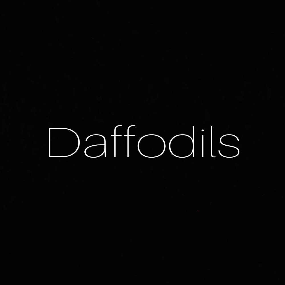 Daffodils (Explicit)