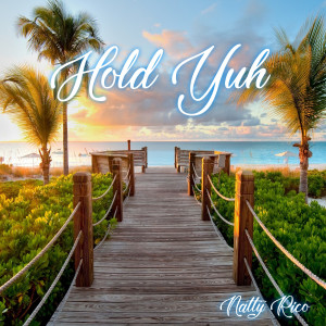 收听Natty Rico的Hold Yuh歌词歌曲