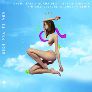 收聽Vintage Culture的Sede Pra Te Ver (Vintage Culture & Ghostt Remix)歌詞歌曲