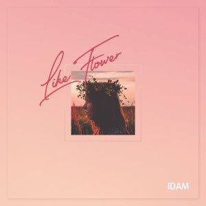 收听이담 IDAM的Falling in Love (Inst.)歌词歌曲