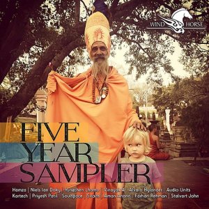 Album Five Year Sampler from Various