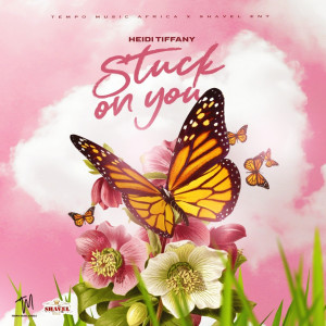Album Stuck on You from Heidi Tiffany