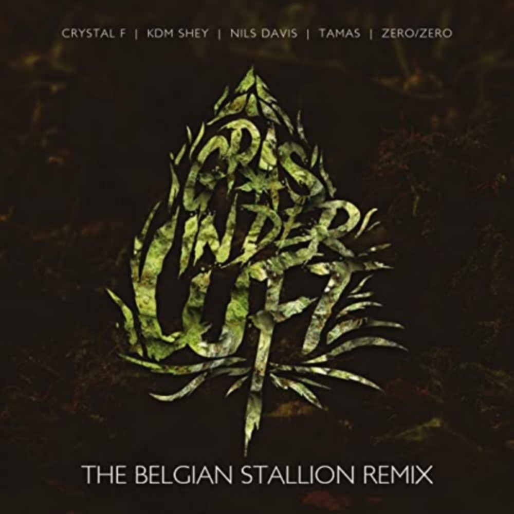 Gras in der Luft (The Belgian Stallion Remix) (Explicit) (The Belgian Stallion Remix|Explicit)