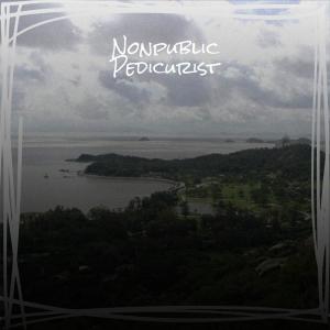 Various的专辑Nonpublic Pedicurist