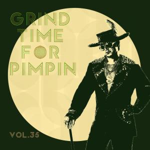 Various Artists的专辑Grind Time For Pimpin,Vol.35