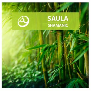ดาวน์โหลดและฟังเพลง Neblina พร้อมเนื้อเพลงจาก Saula