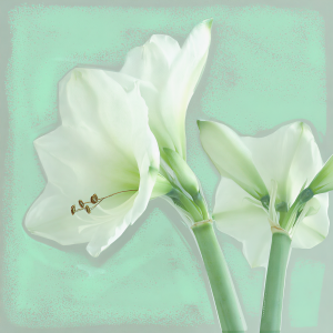 收聽Gundelach的Bolder歌詞歌曲