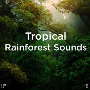 Listen to 雨声 song with lyrics from Deep Sleep