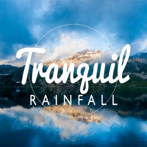 Baby Sleep的專輯Tranquil Rainfall