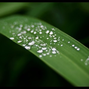Listen to Rain Drop Splash song with lyrics from Nature Sounds Nature Music