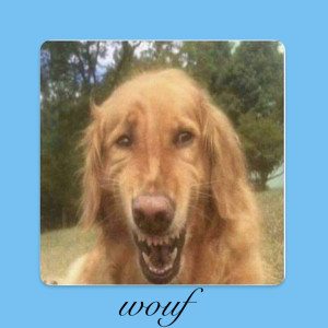 Knackeboul的专辑wouf