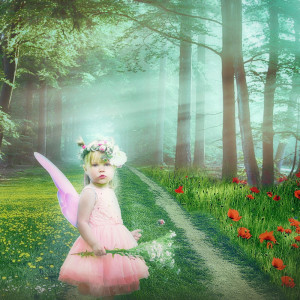 Listen to Happy Lullaby Solo song with lyrics from Lullaby Solo