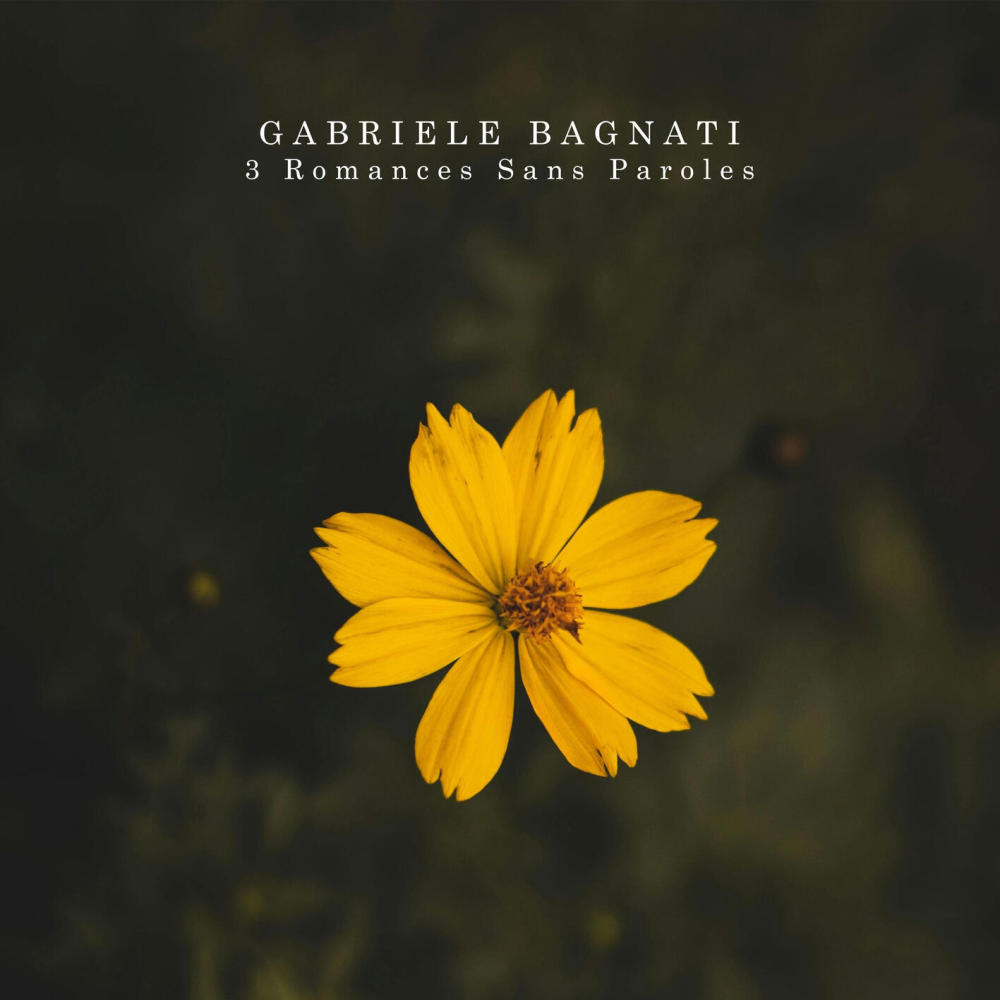 3 Romances sans paroles, Op. 17: III. Andante moderato