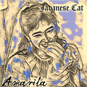 收聽Javanese Cat的Amarila歌詞歌曲
