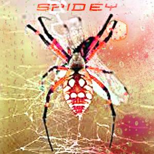 Listen to spidey (Explicit) song with lyrics from 150lated