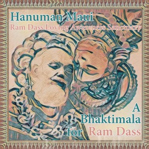Listen to 4th Avenue Hanuman Chalisa song with lyrics from Jeremey Hoffeld