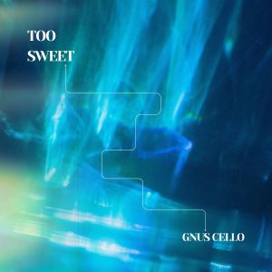 อัลบัม Too sweet ศิลปิน GnuS Cello