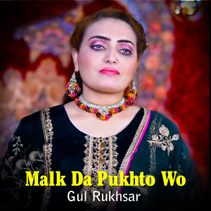 Album Malk Da Pukhto Wo from Gul Rukhsar