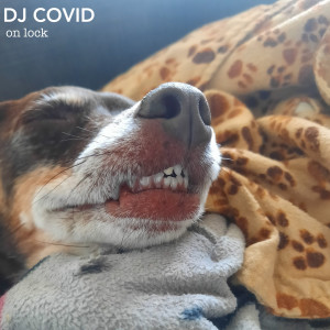Listen to Exercise!!?! song with lyrics from DJ Covid